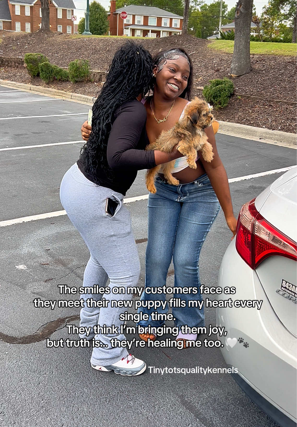@Dog Lady