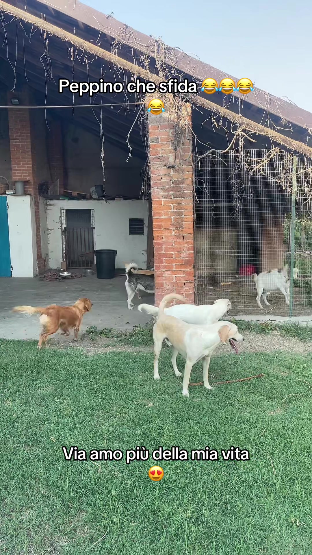 @KIRA❤️LEYLA💙