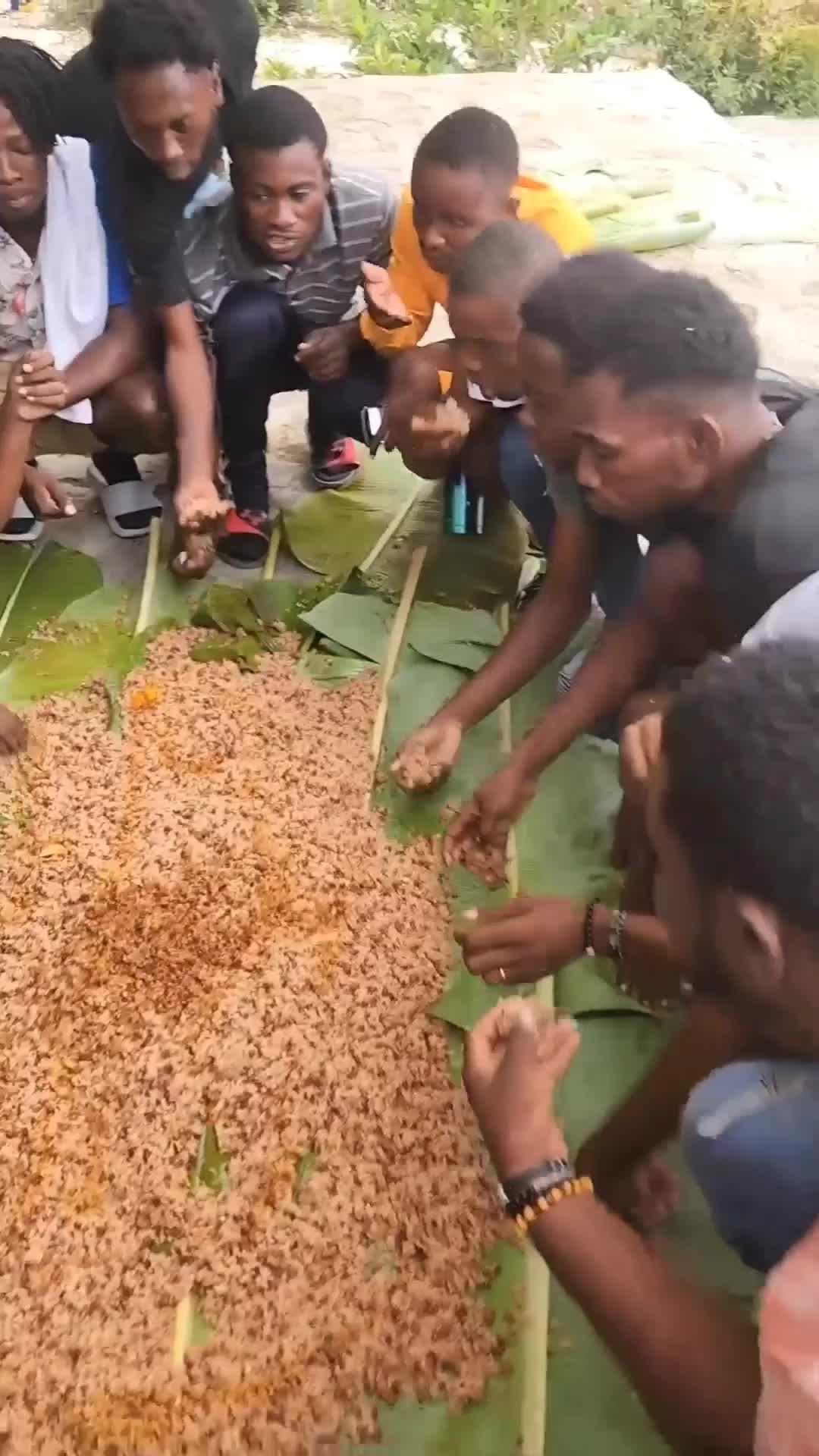 @1804 Vibes🇭🇹