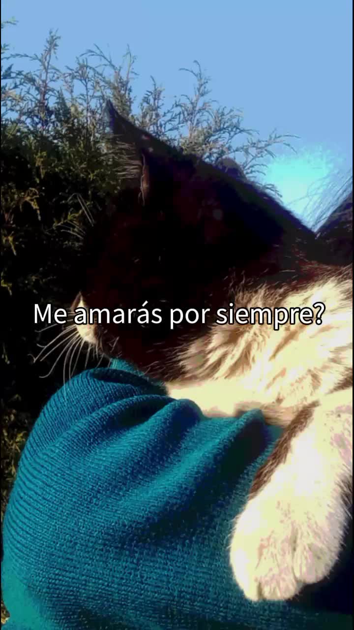 @Y-olii 🫧