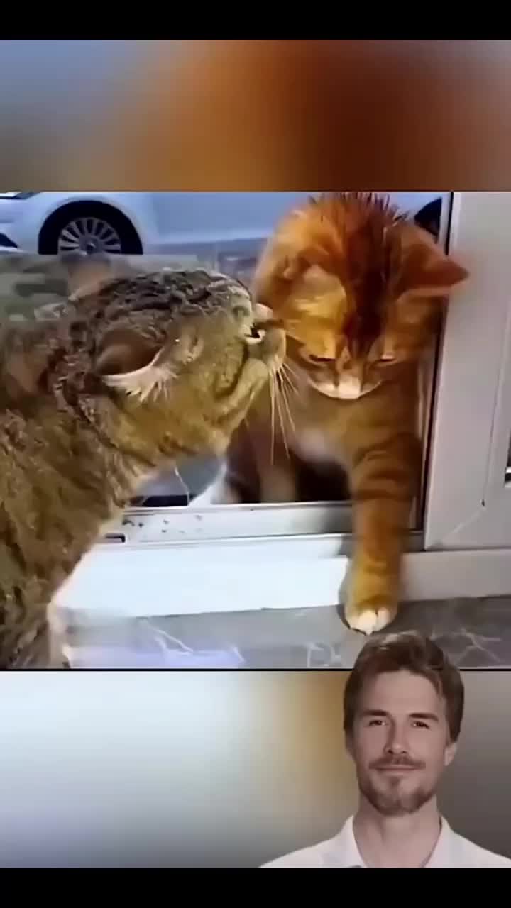 @Vargas oficial