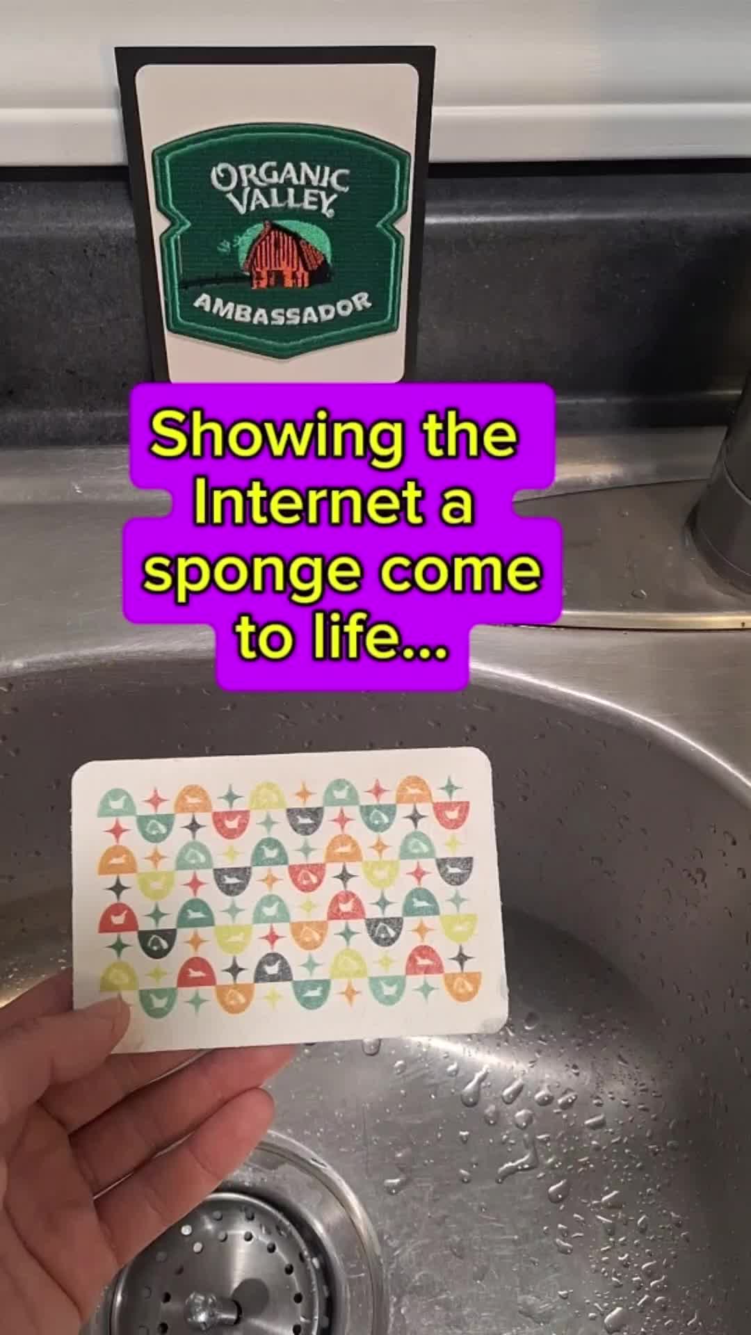 @NoodleThrower
