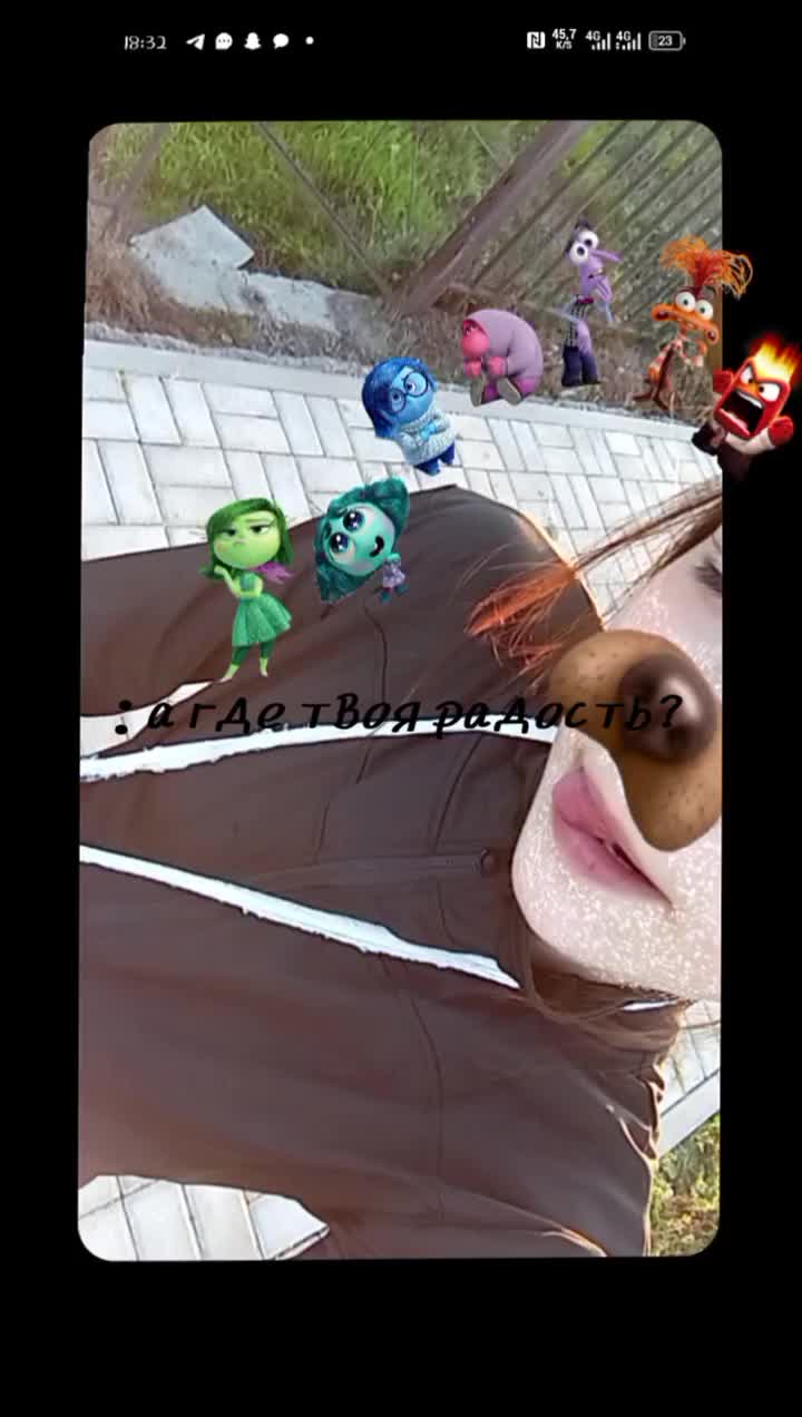 @lupa1991