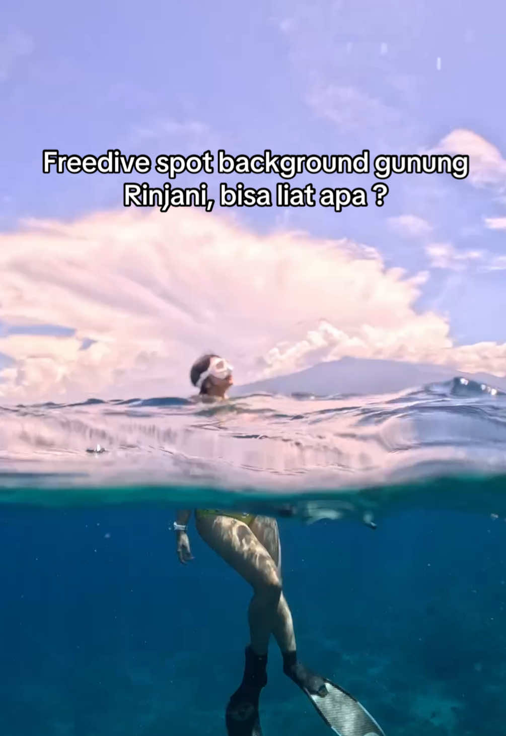 @Yuki | Diving & Traveling