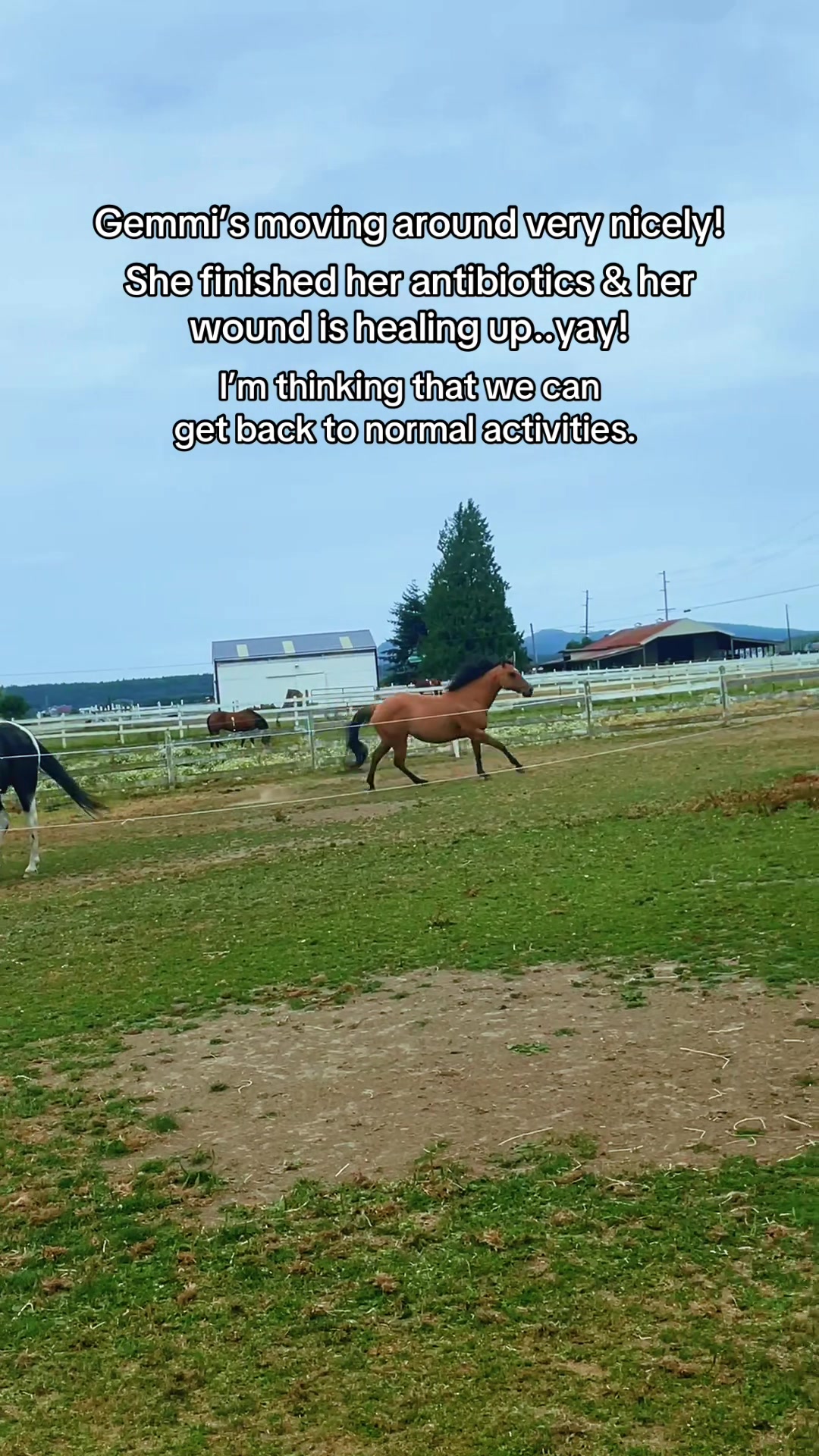 @Pony Girl
