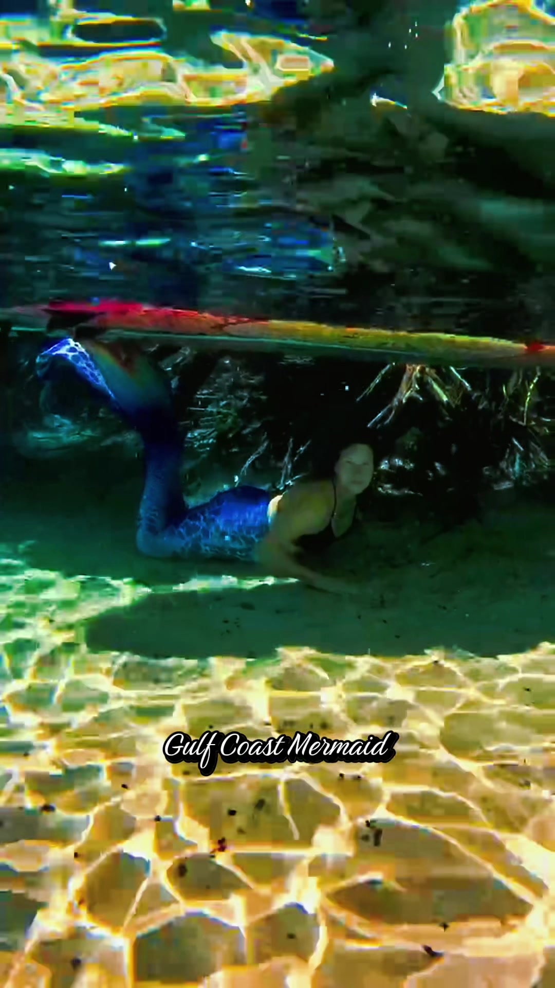 @Gulf Coast Mermaid 🧜♀️