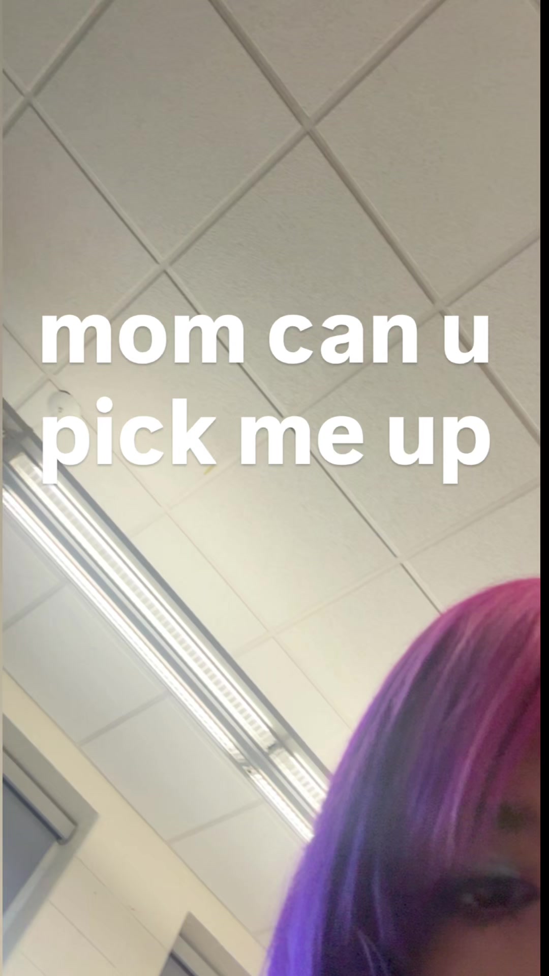 @cottagecat28