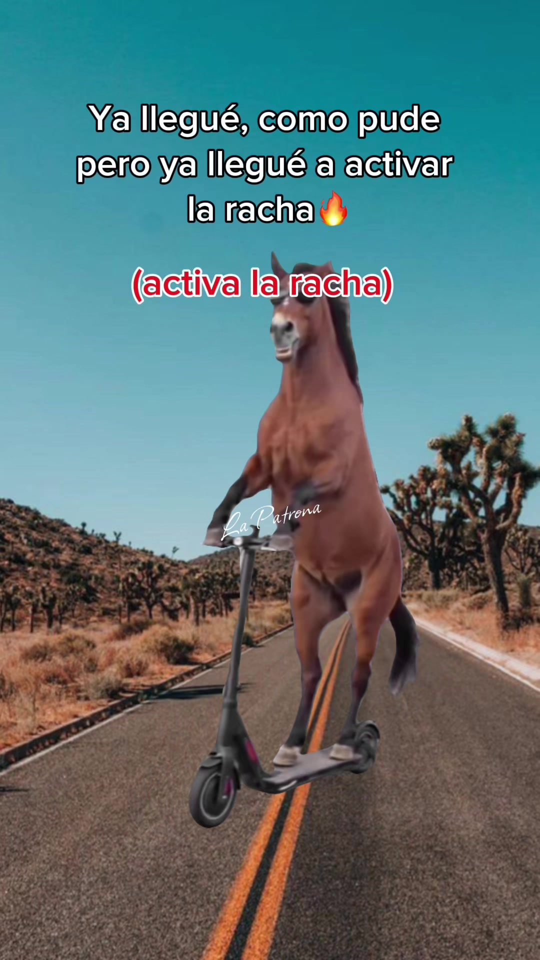 @𝕃𝕒 𝕡𝕒𝕥𝕣𝕠𝕟𝕒❤️🔥🐣🦅