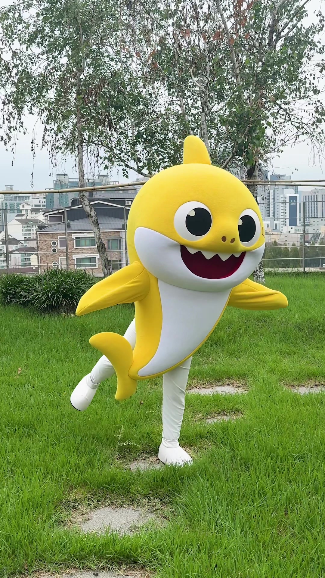 @Baby Shark Official