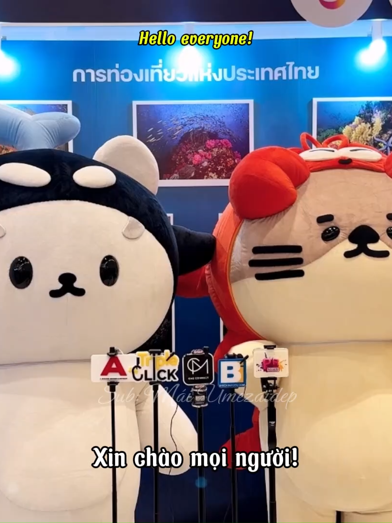 @Mái•Umêzaiđẹp🙂↔️