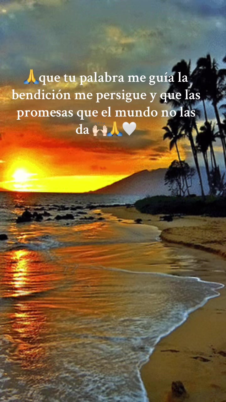 @Jes&uacute;s mi proveedor