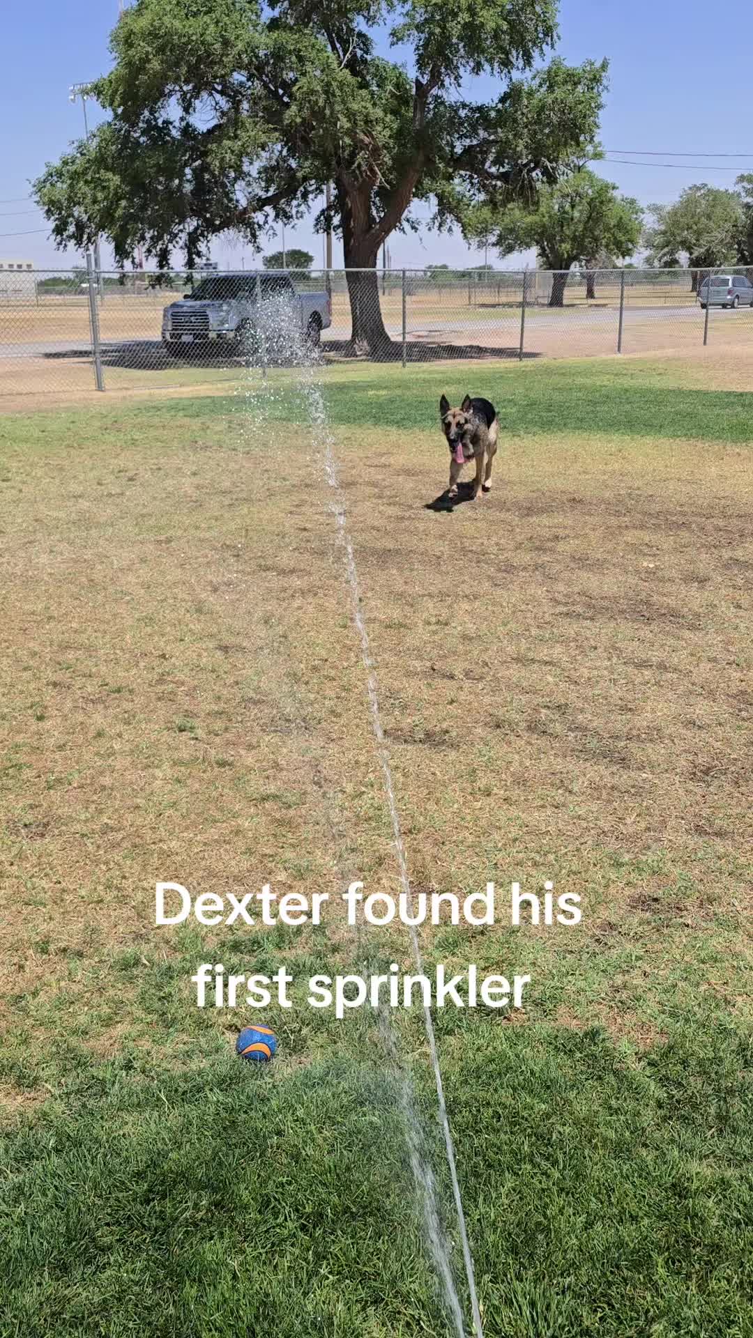 @DexterAndMichael