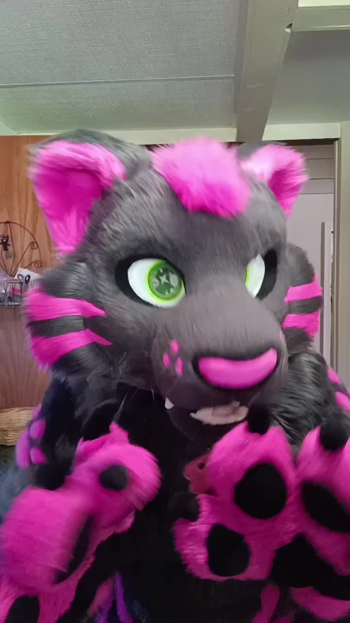 @dingbat 🐾 mew,mew 🐾