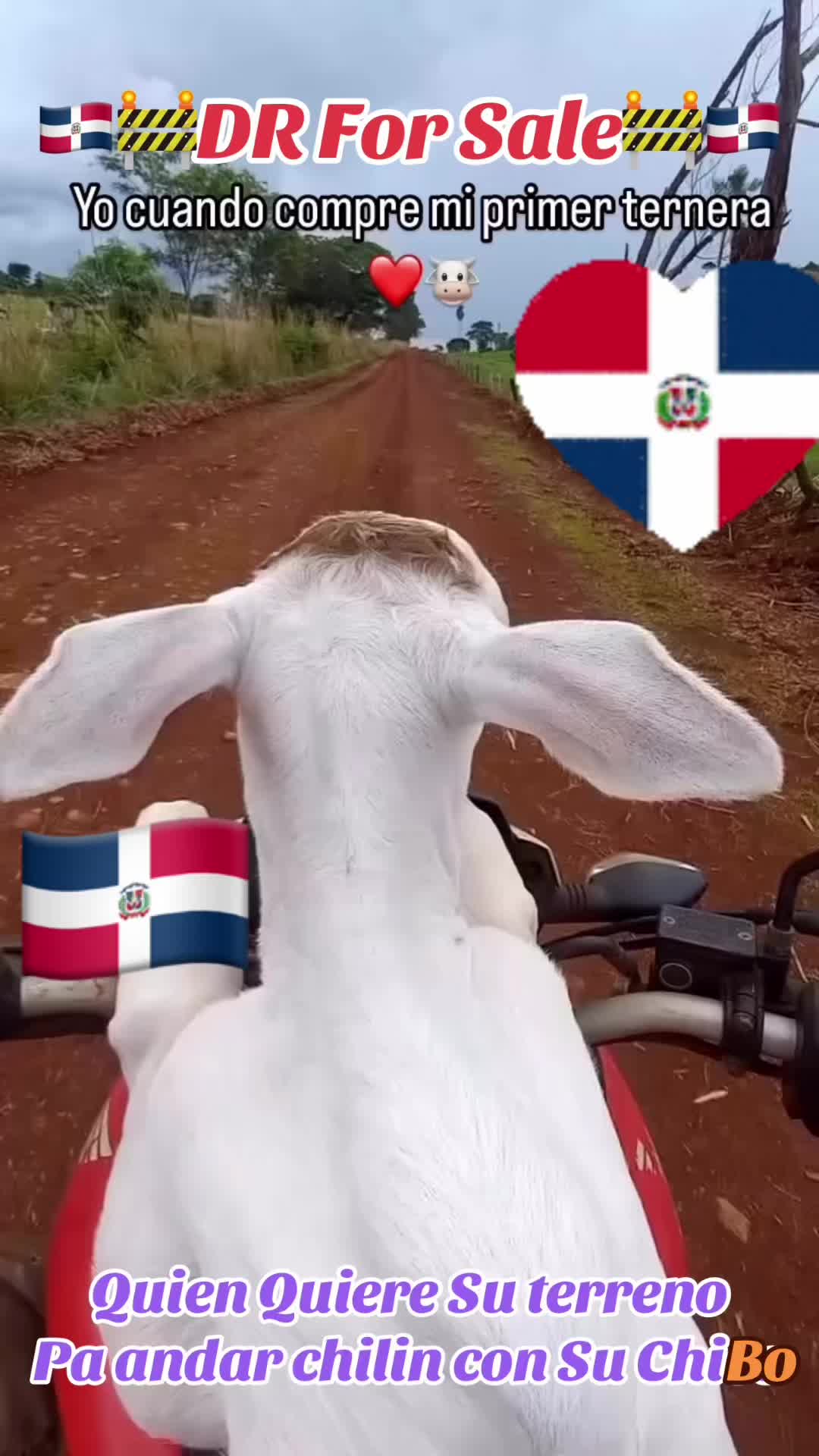 @mibendicionrd