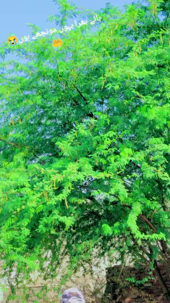 @گمنام✌️✌️