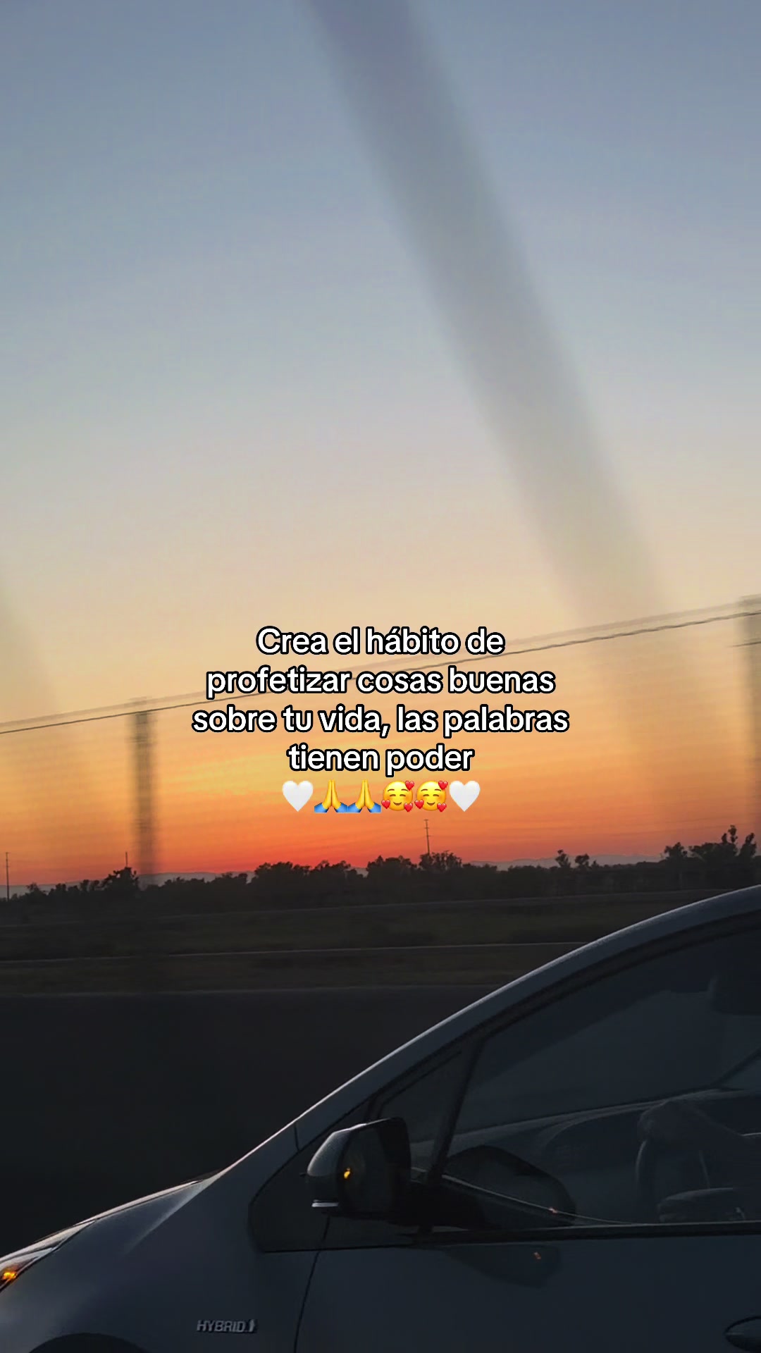 @Leticia Castanon