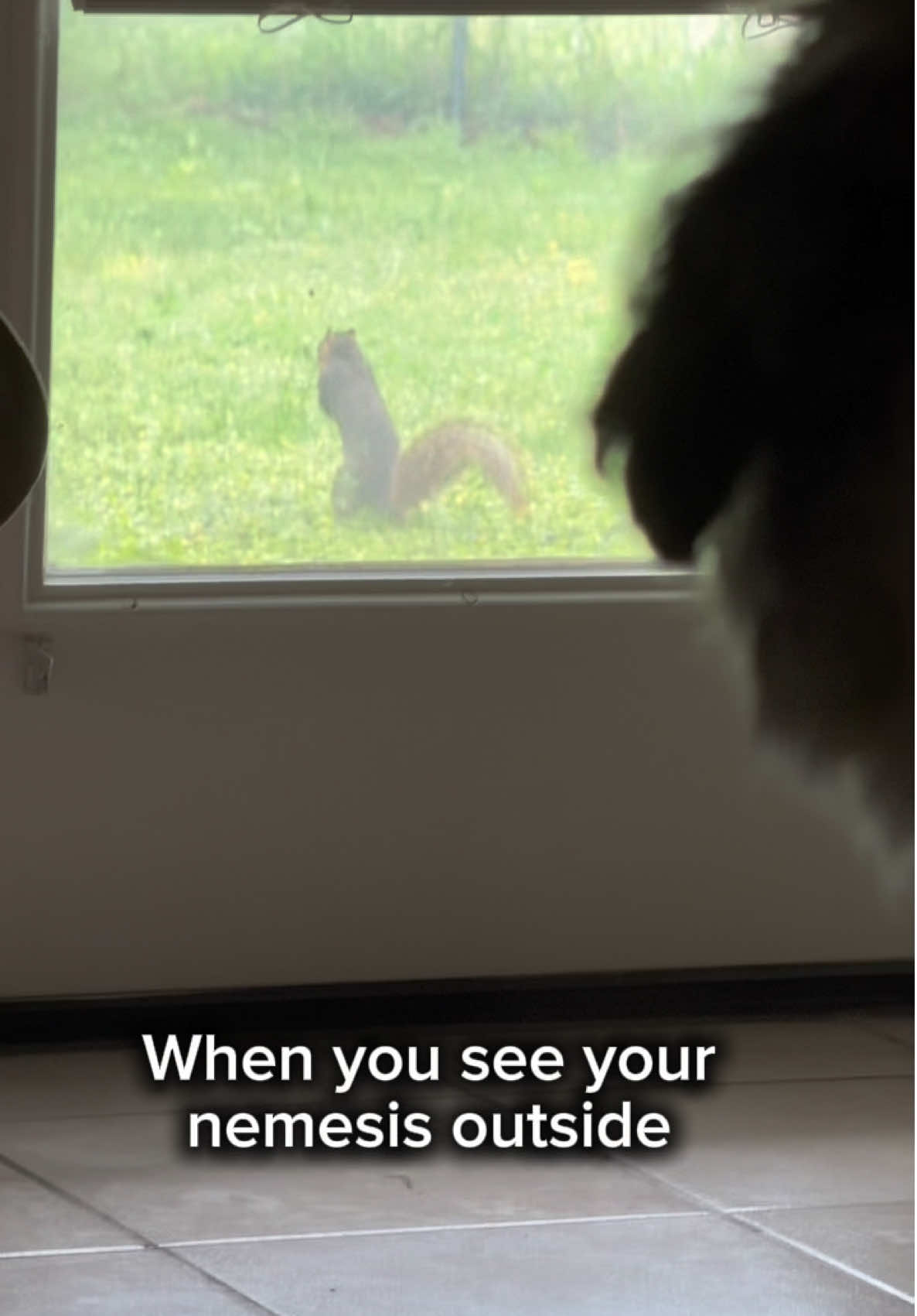 @Harley & Stormy