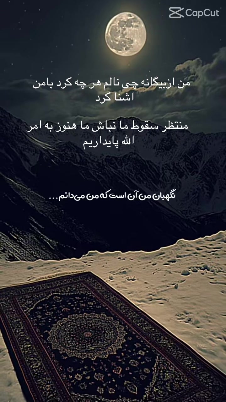 @shakiba Noori