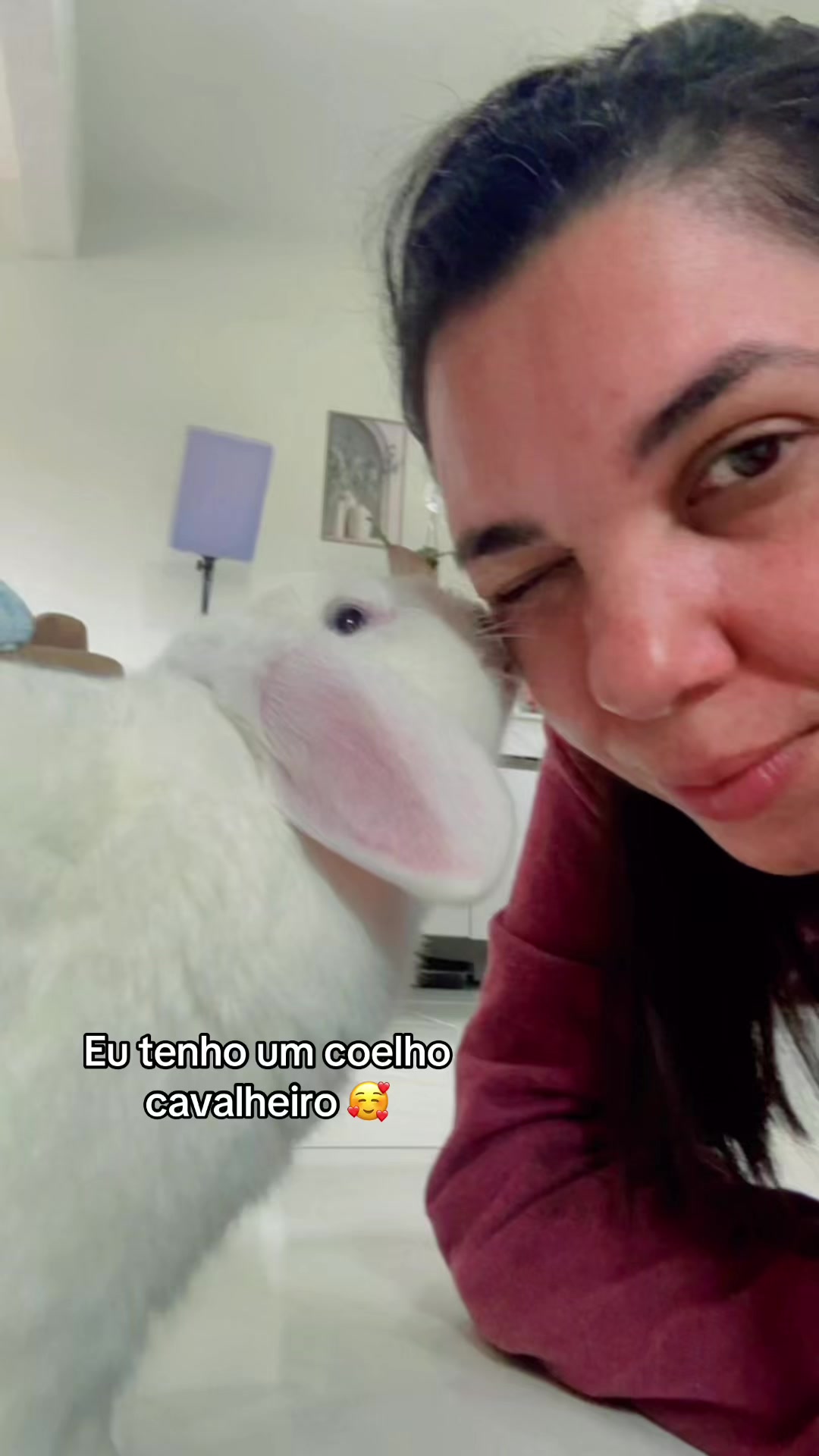 @Fer_Sousa