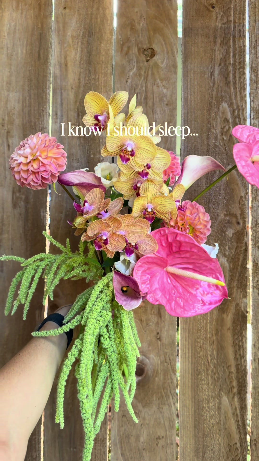 @Shoots Blooms