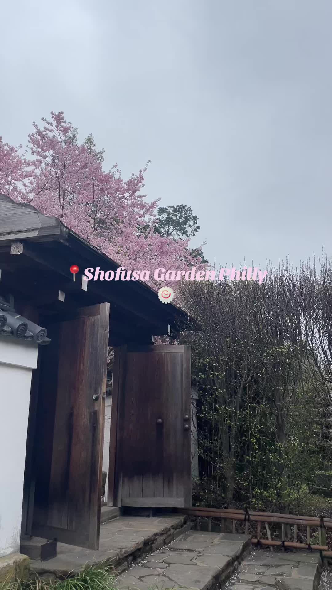@Nana 🪐⭐️