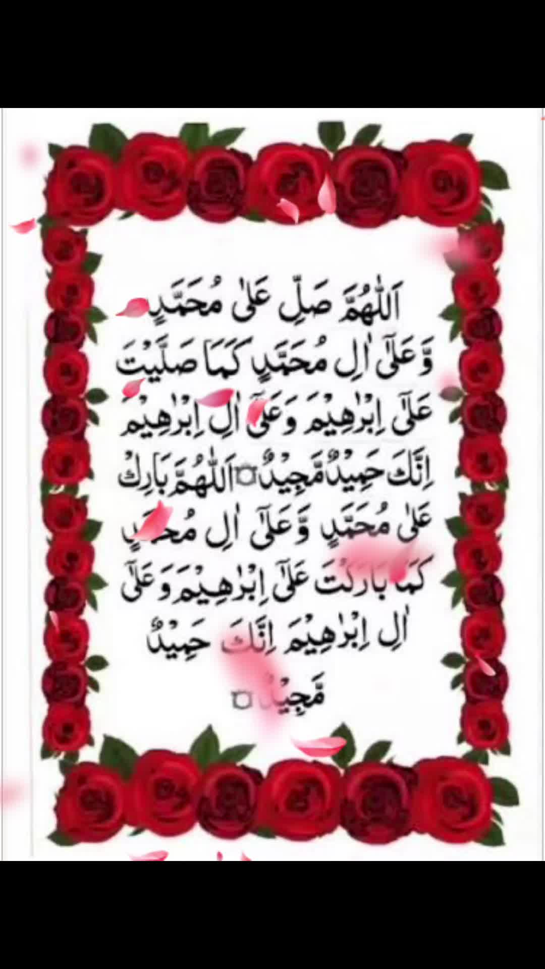 @noor