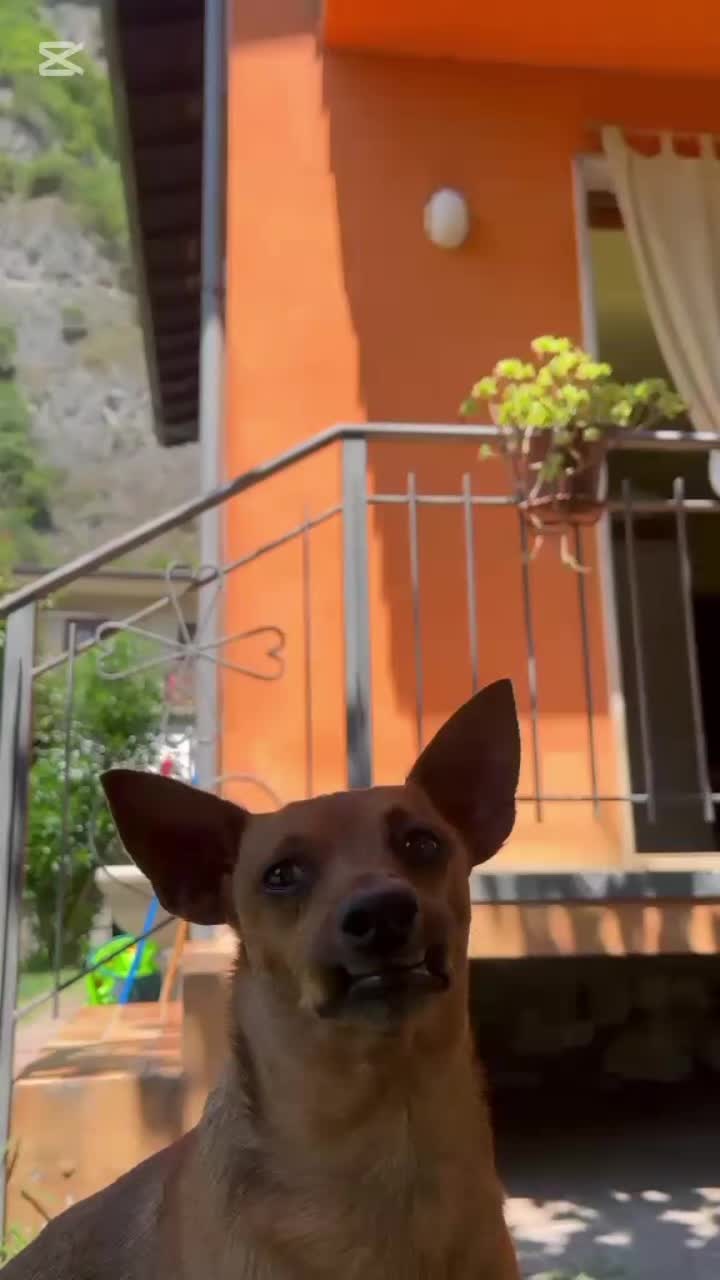 @veronica__________marino