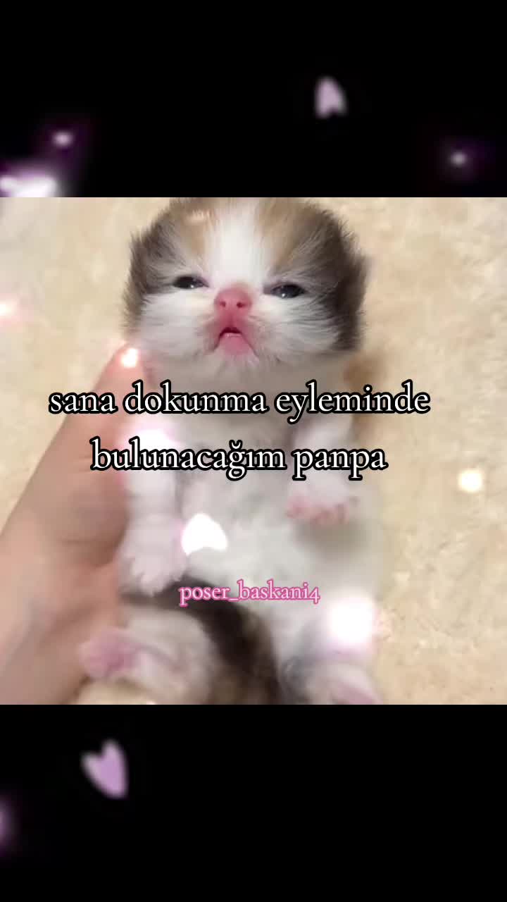 @poser_baskani4