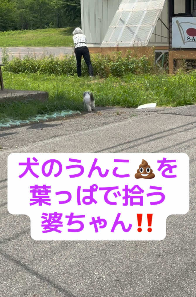 @もっさん