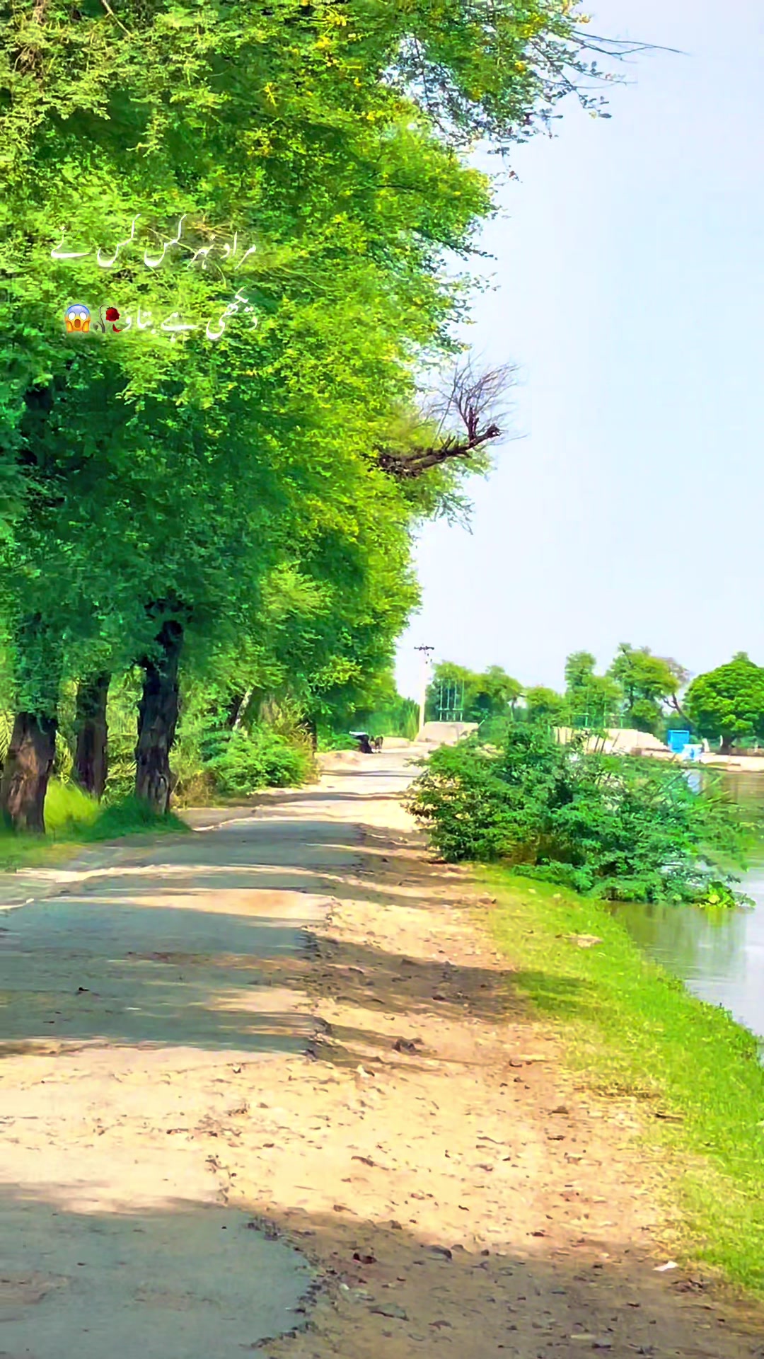 @احمد ہنجرا_بہاولنگر🥰