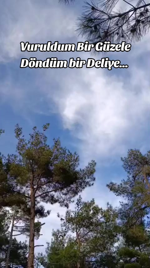 @Mustafa Erdinç 0101