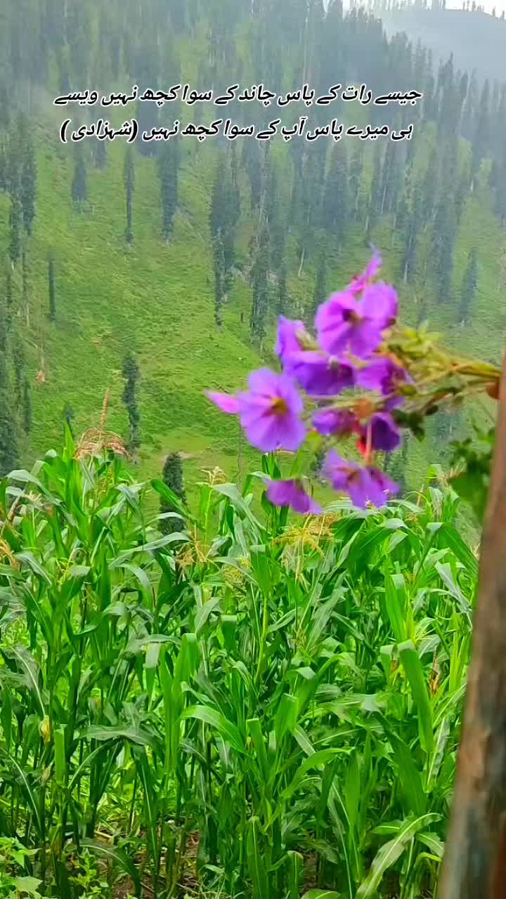 @💫❤️🔥دل کا بادشاہ❤️🔥💫