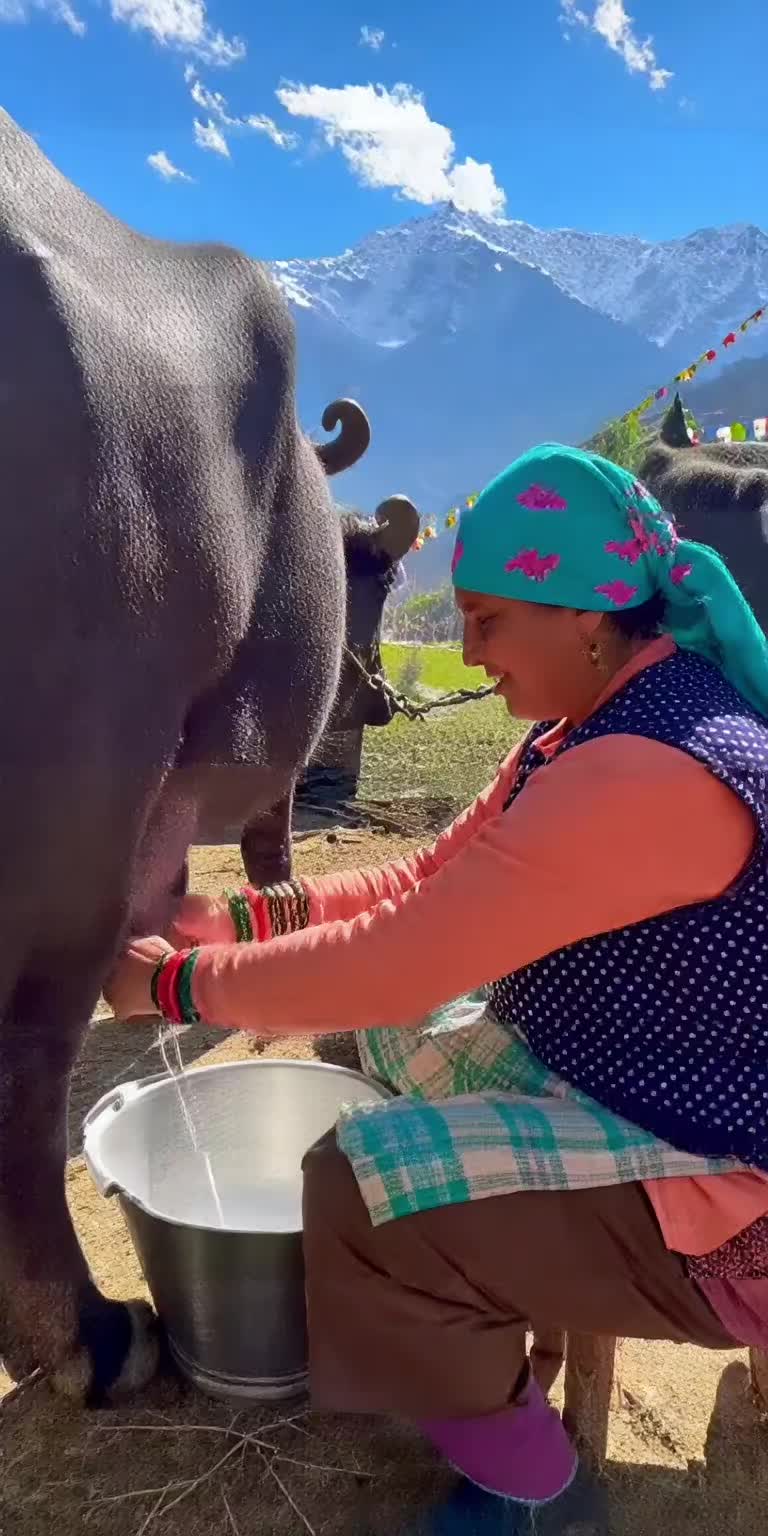 @Himachali Camper