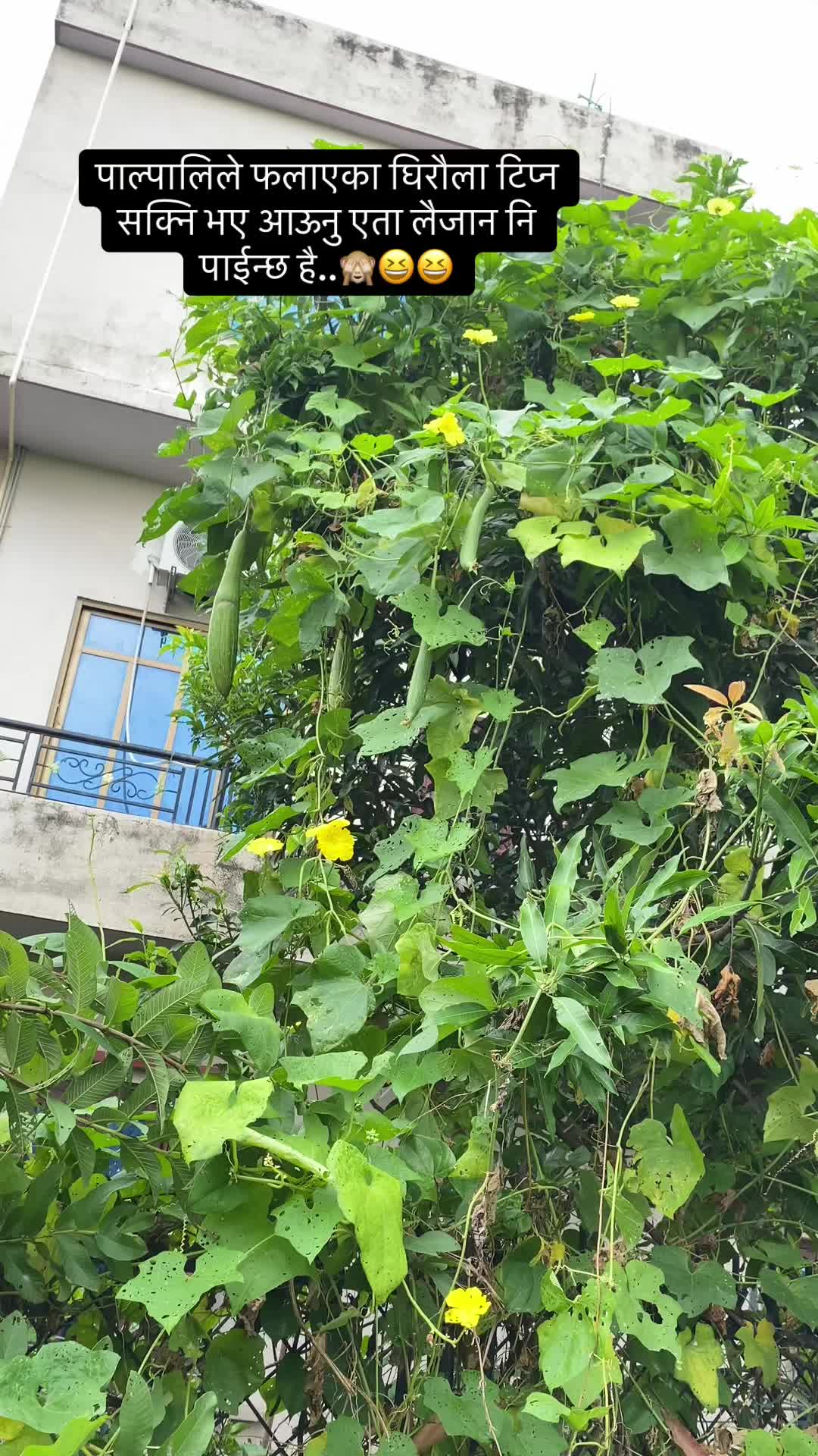 @Sarmila Bhattrai