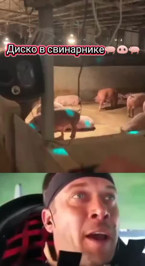 @BomBaLeila88888