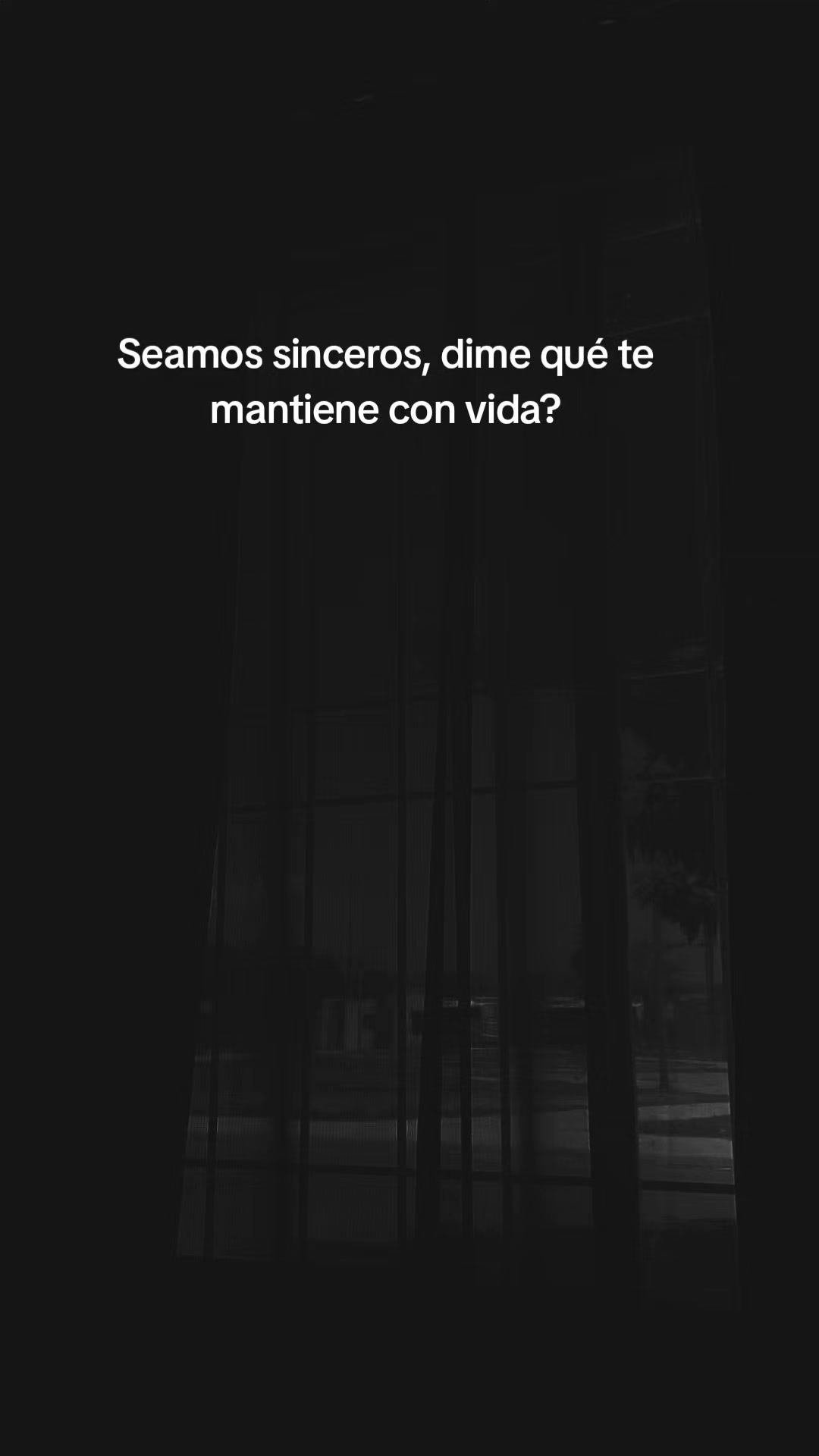 @vecky