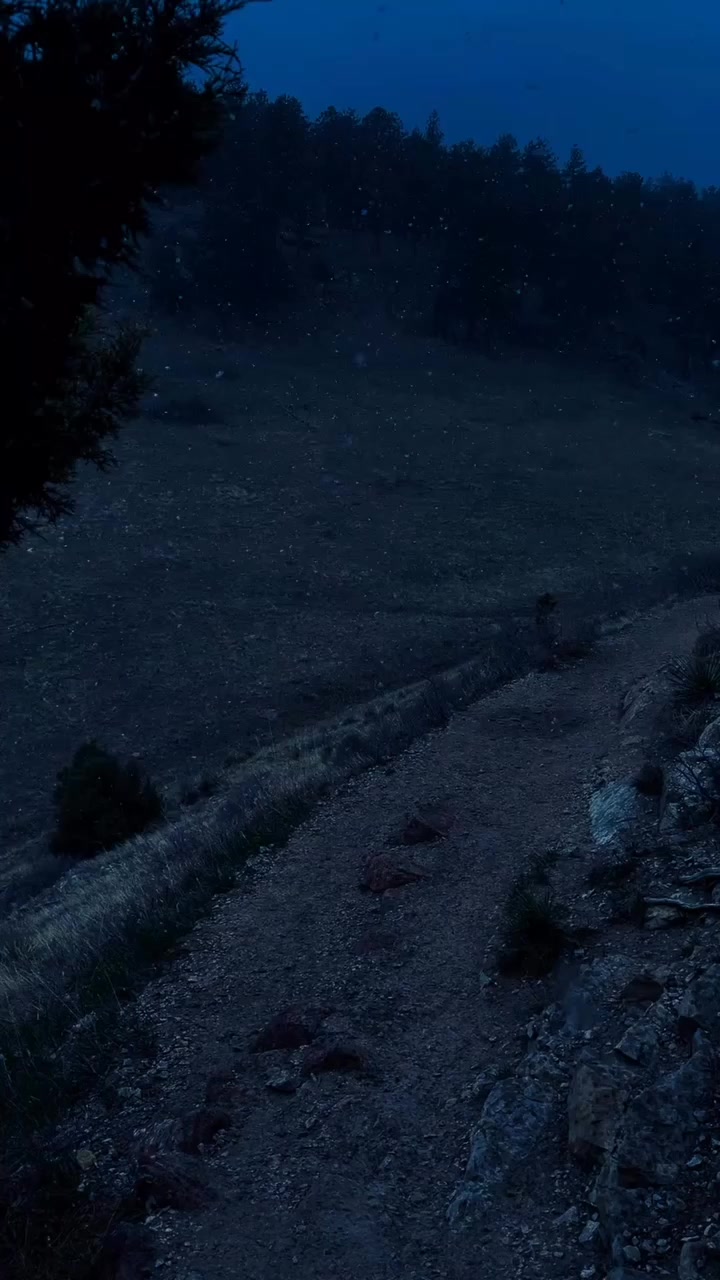 @♱𝓣𝓱𝓮𝓥𝓸𝓲𝓭♱