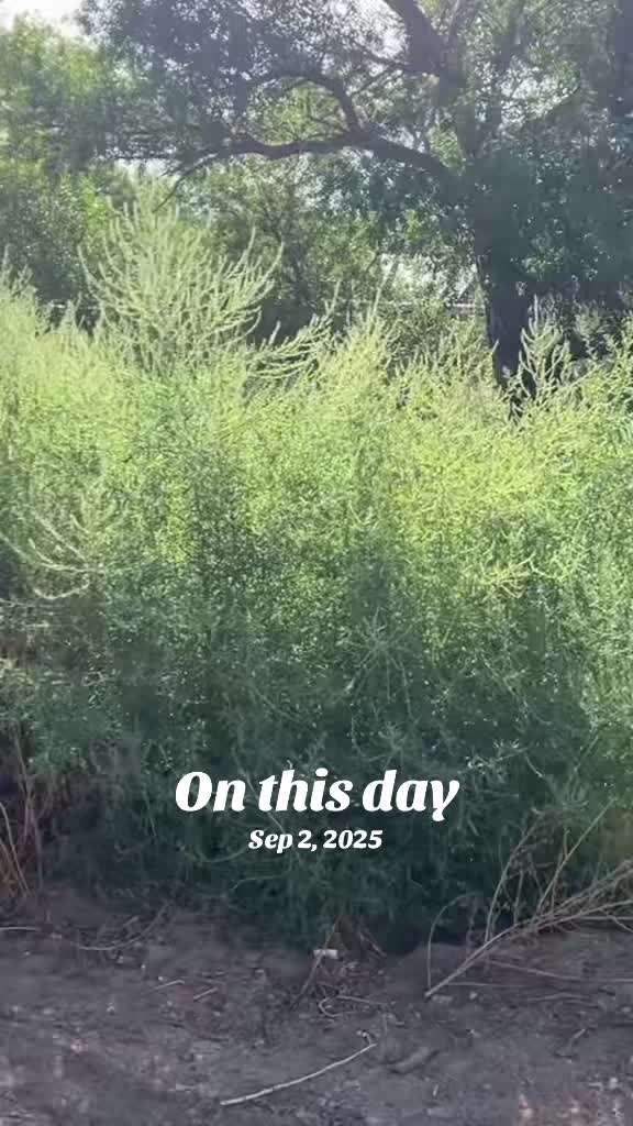 @cowboymax