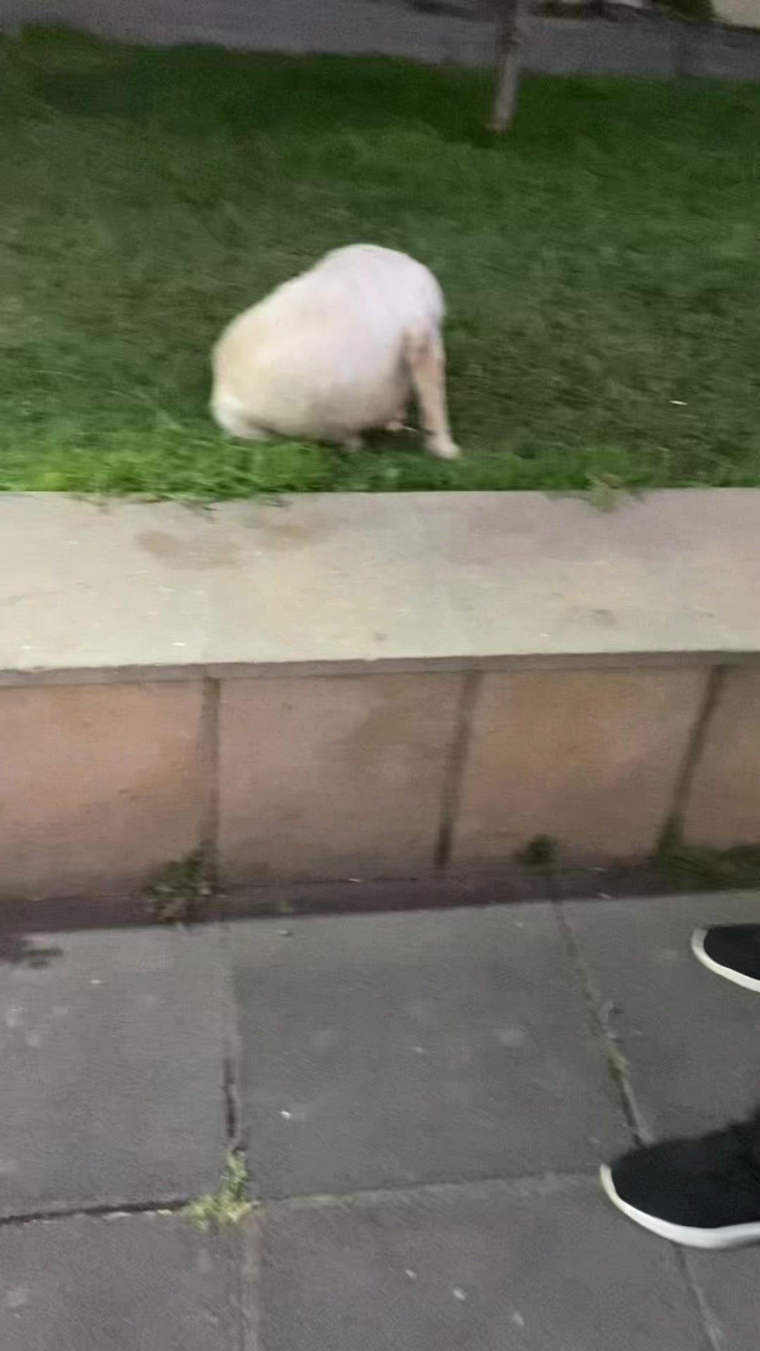 @3qizanasivloglari