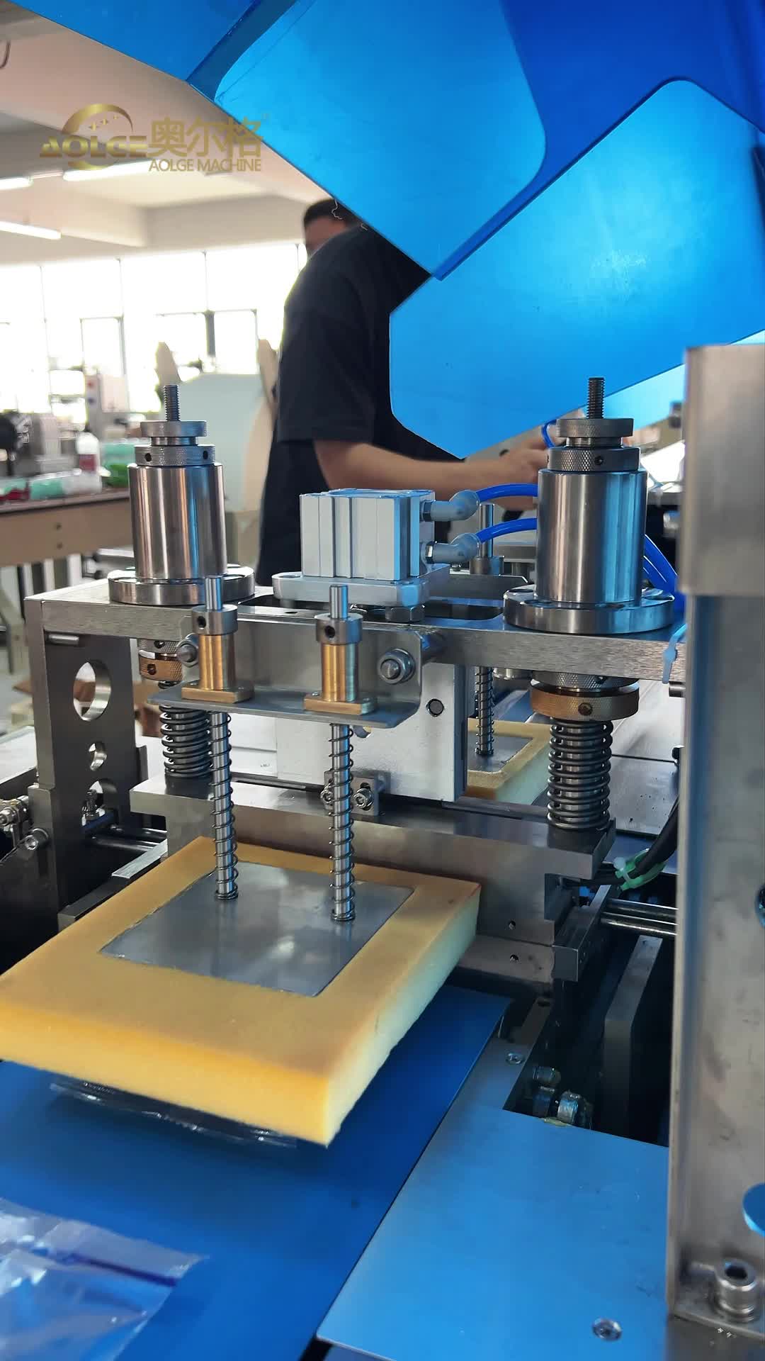 @Aolge packaging machine