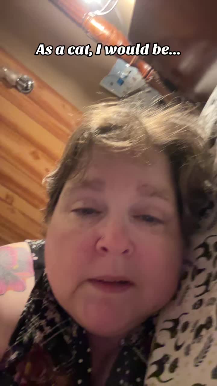 @steenercatmom