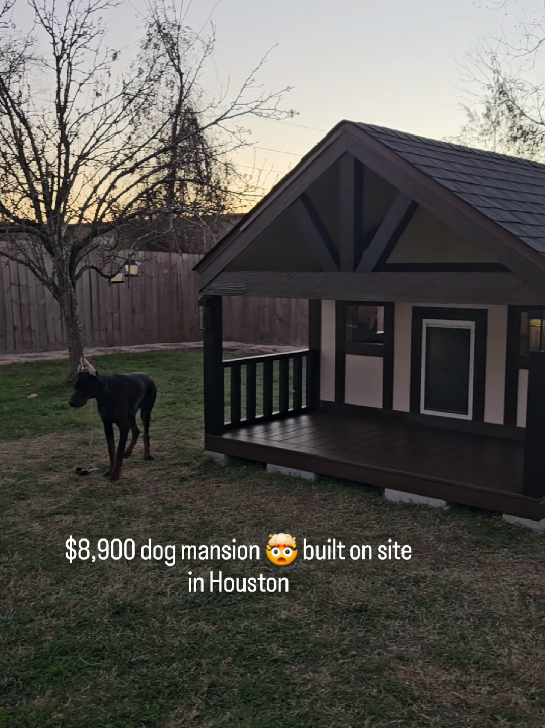 @dfwdoghousesllc