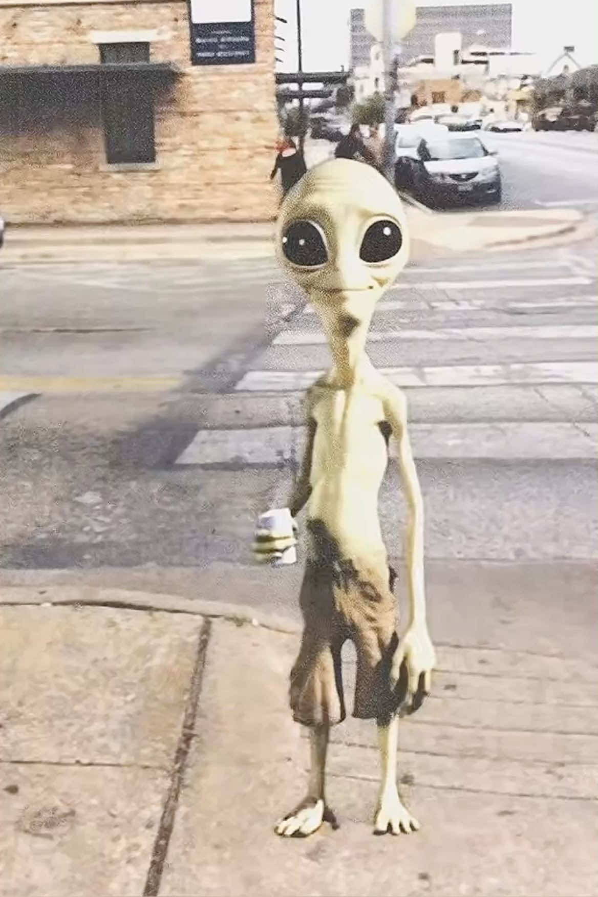 @dani⭐️