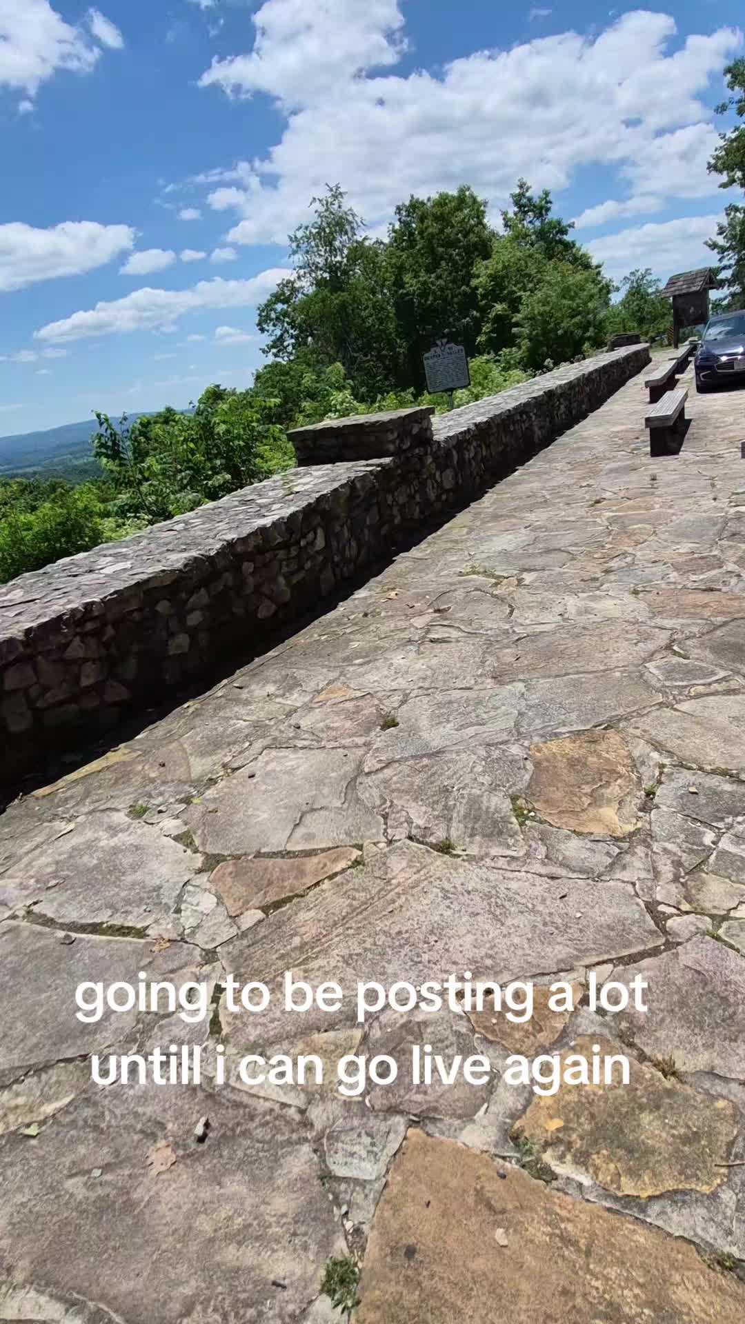 @Greentreegaming420