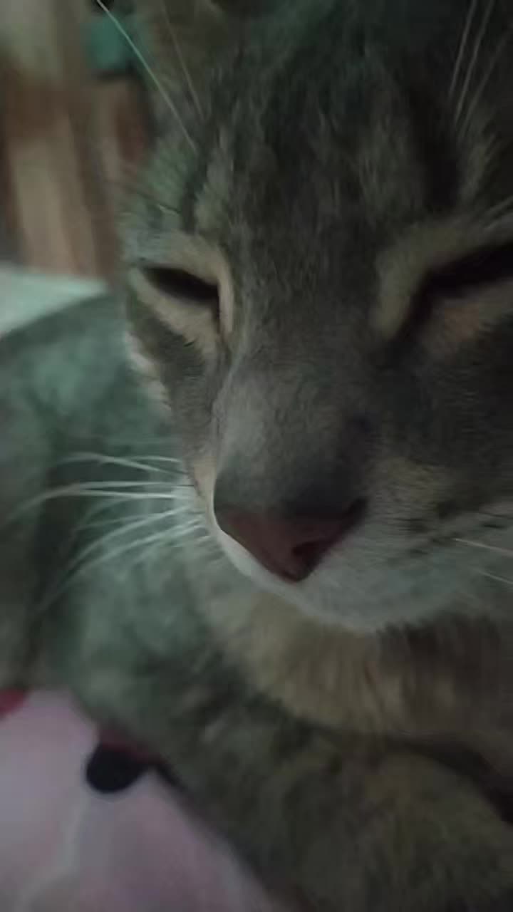 @❌^^_アリ_^^❌