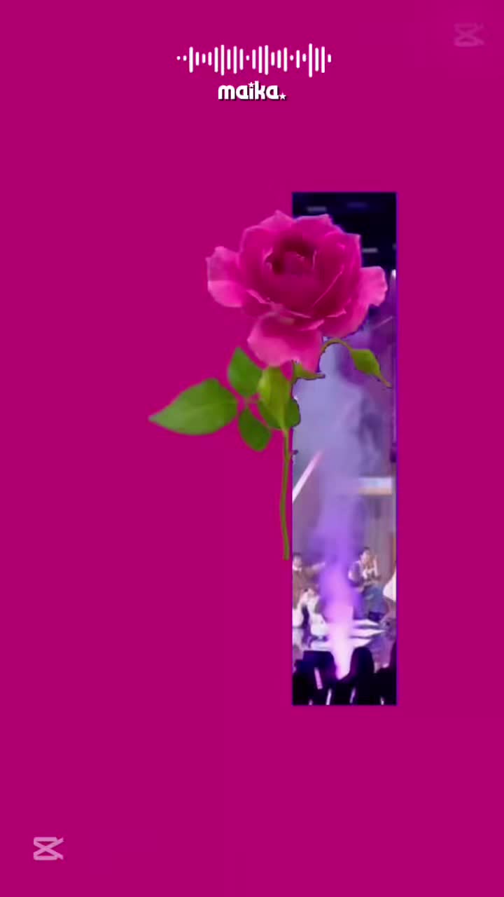 @𝙢𝙖𝙞𝙠𝙖. ?!