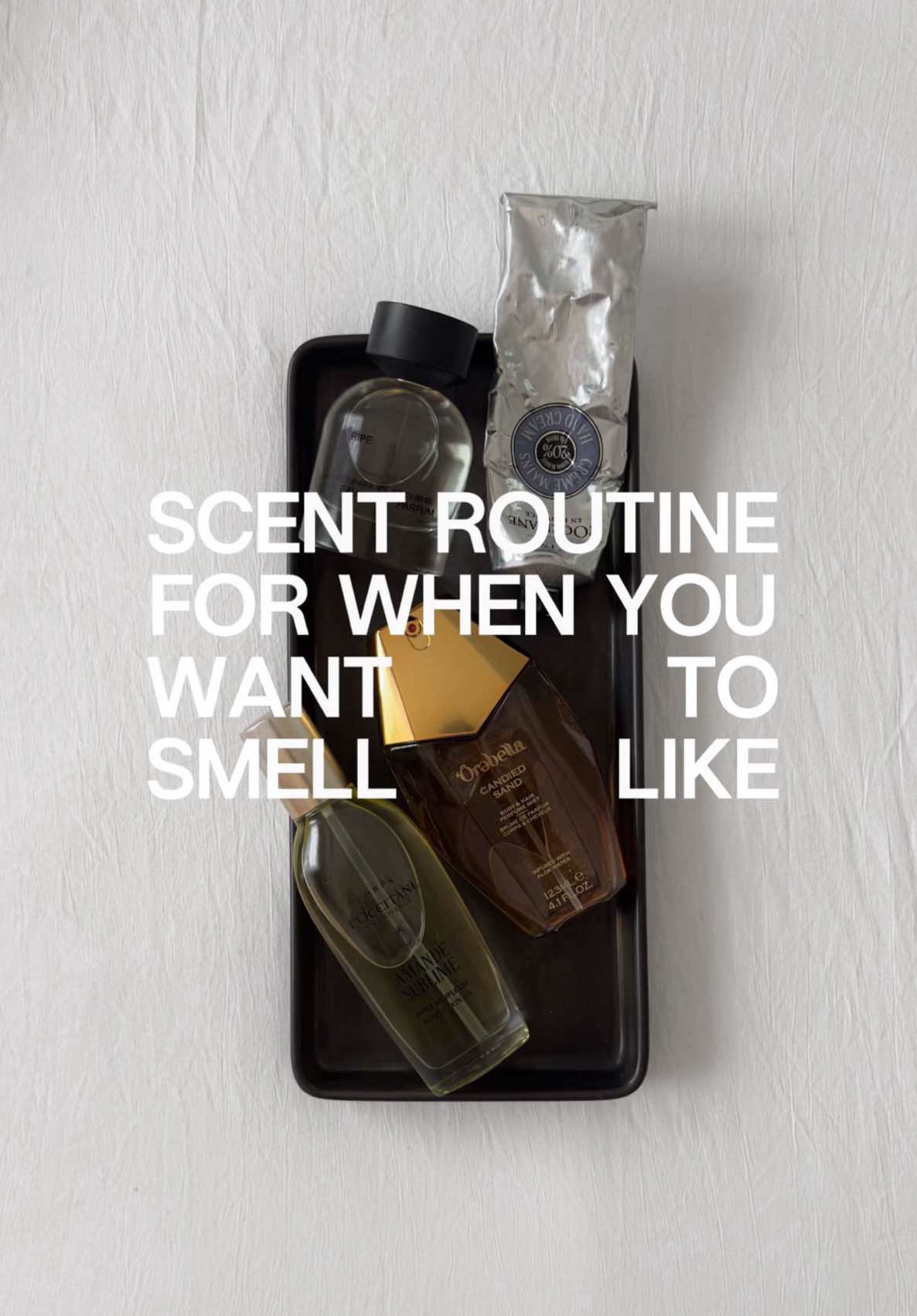 @liza ᵕ̈