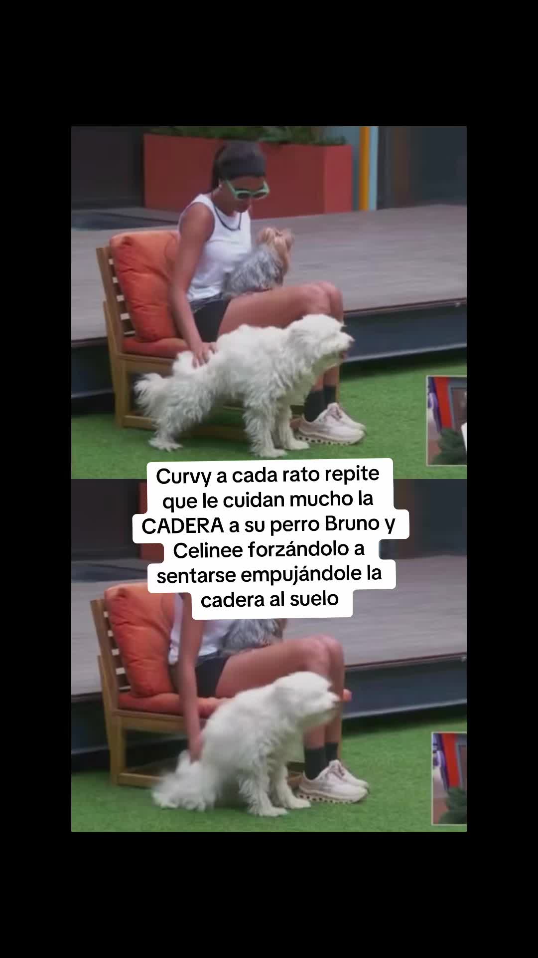 @Andi✨