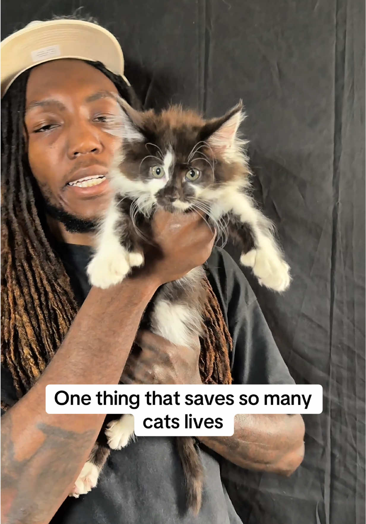 @Tycoon_Mainecoons