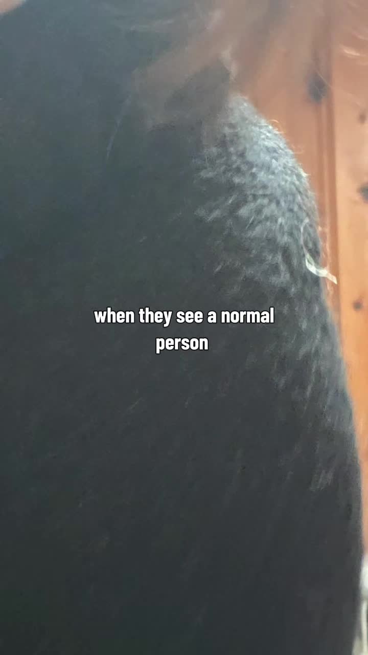 @landofdaddy